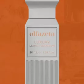 luxury-gray-chogan